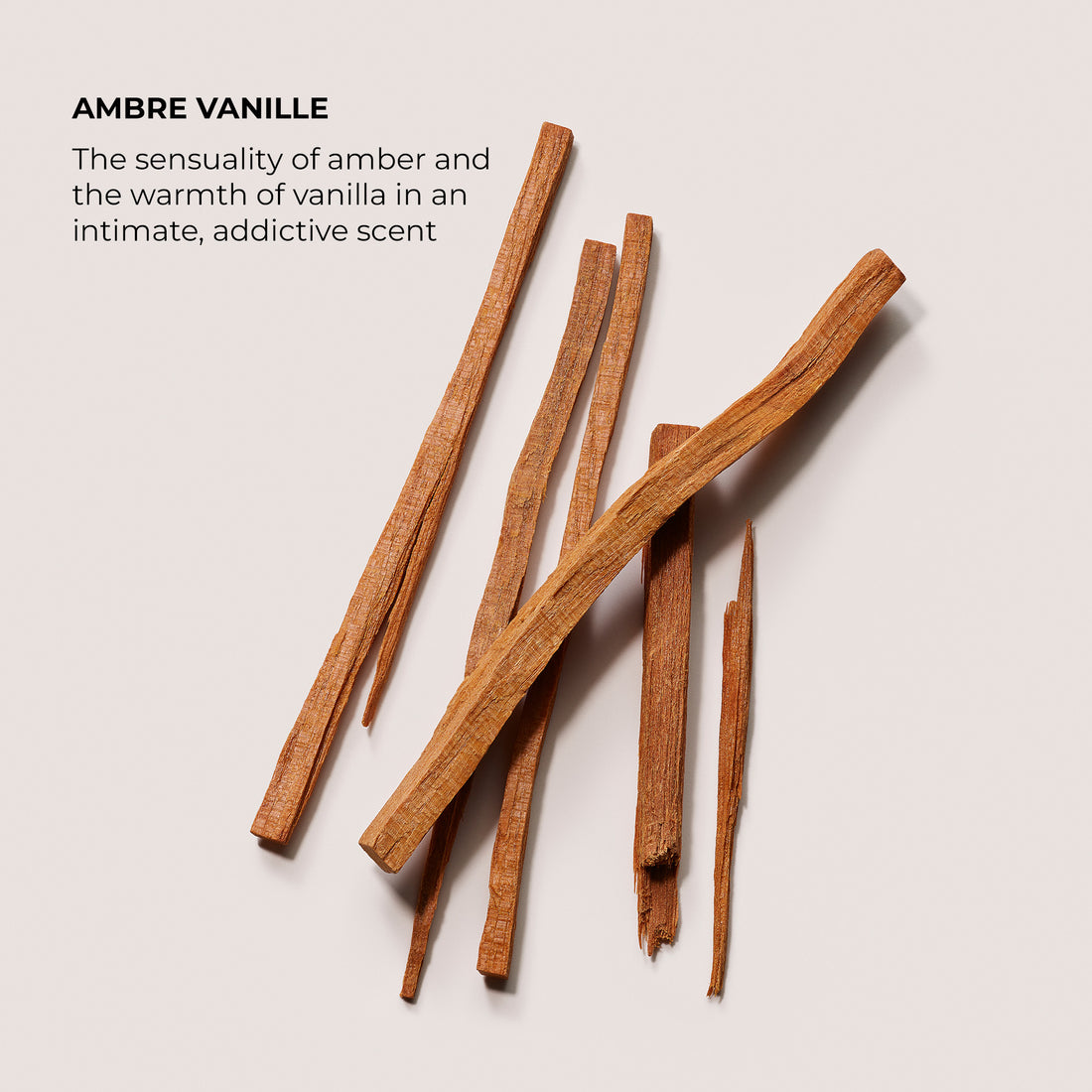 The Daydreamer's Indulgence Ambre Vanille Collection