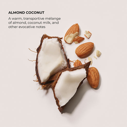 Almond Coconut Exfoliating Body Wash
